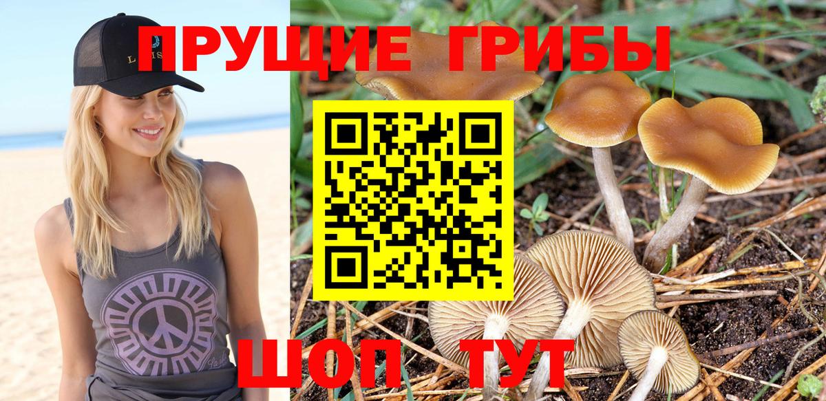 Галлюциногенные грибы MAGIC MUSHROOMS Новокубанск